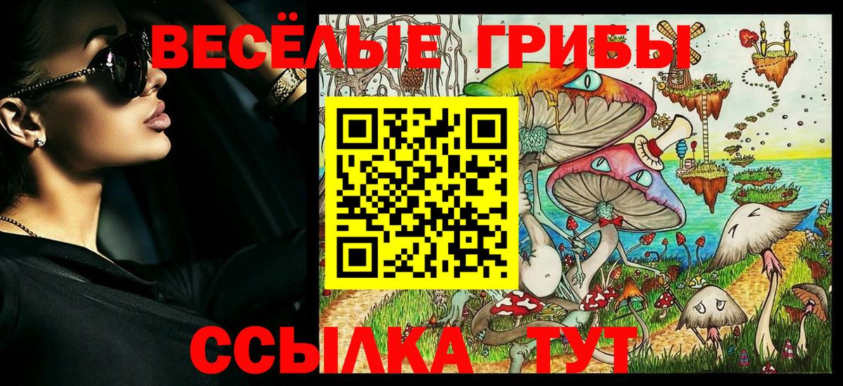 Старая Русса  Галлюциногенные грибы мухоморы  Вход с VPN  как найти закладки  Псилоцибиновые грибы Psilocybine cubensis 