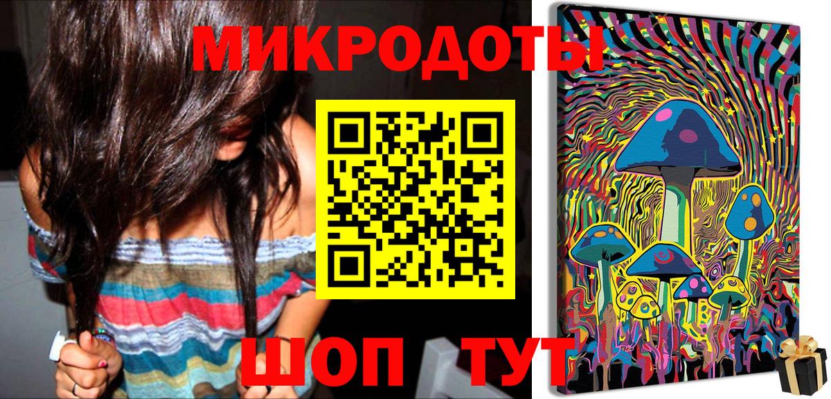 Галлюциногенные грибы Psilocybe Старая Русса